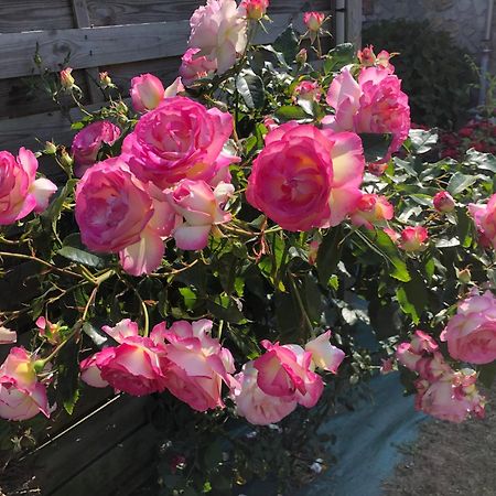 Les Hortensias Grand-Fougeray Экстерьер фото